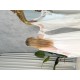 Bride nightwear code:0069
