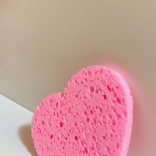 اسفنج مضغوط